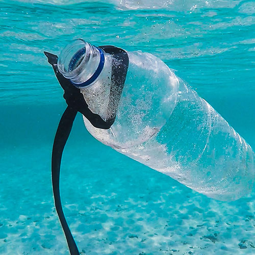 plastikflasche-meer