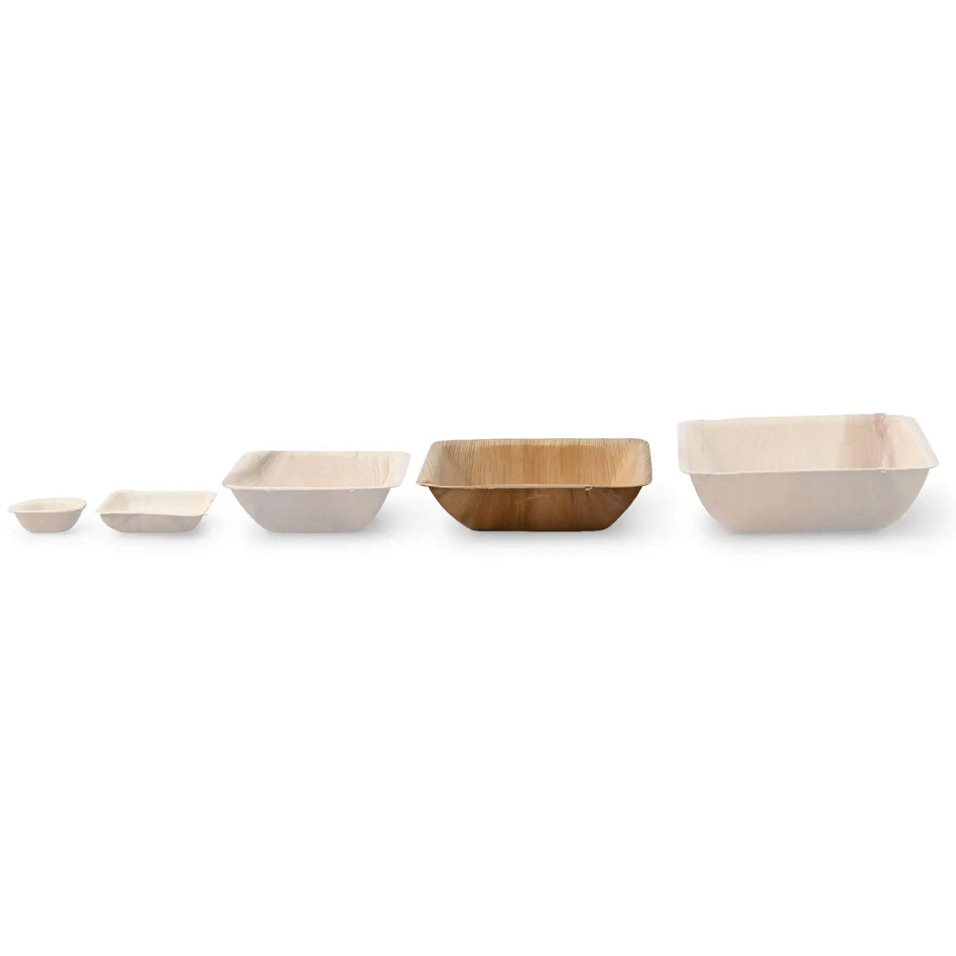 dtw054611-palmblatt-schalen-palmware-600-ml-quadratisch-9
