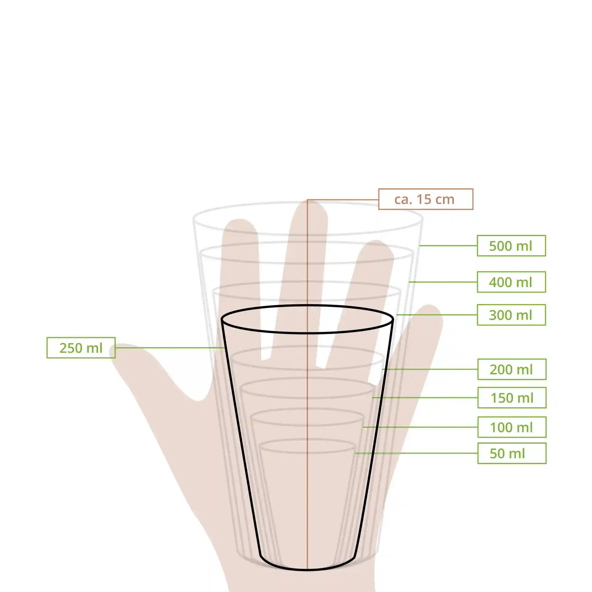 Schematische tekening van twee bekers met meetlijnen die volumes van 50 ml tot 500 ml en een hoogte van ongeveer 15 cm aangeven.