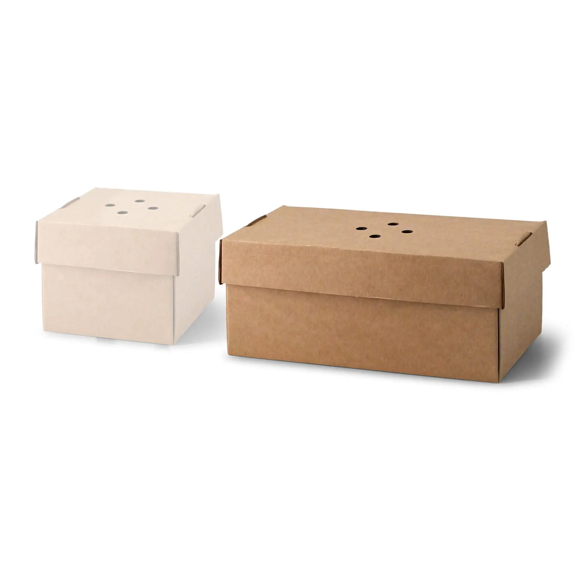 Take away dubbele burger container 24,4 x 12,2 x 10,2 cm, kraftkarton, inklapbaar