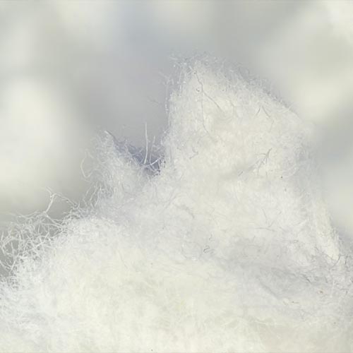 zellulosefasern