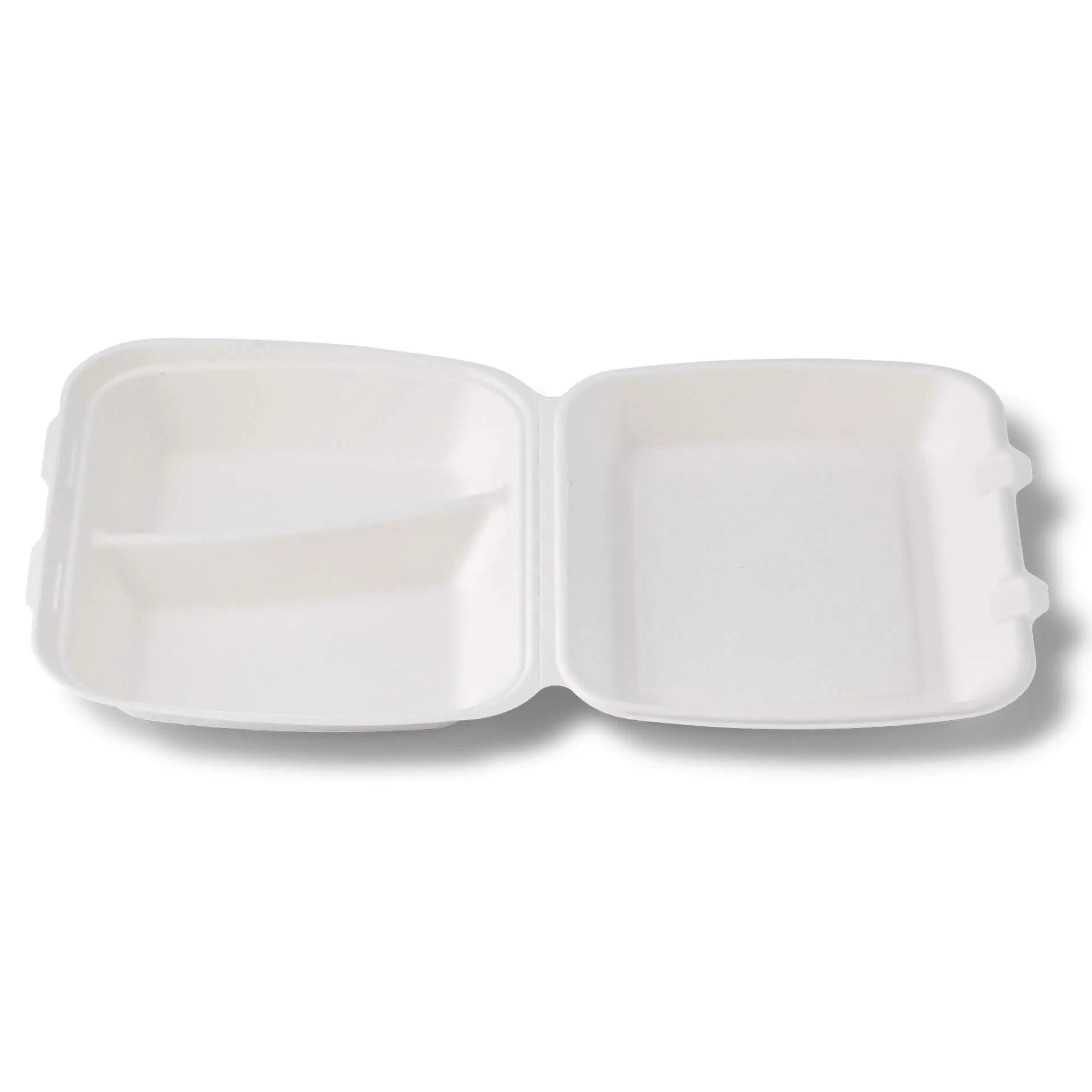 Suikerriet menubak 25 x 20 x 7,5 cm, 2 vakken, HP4/2, klapdeksel, rechthoekig