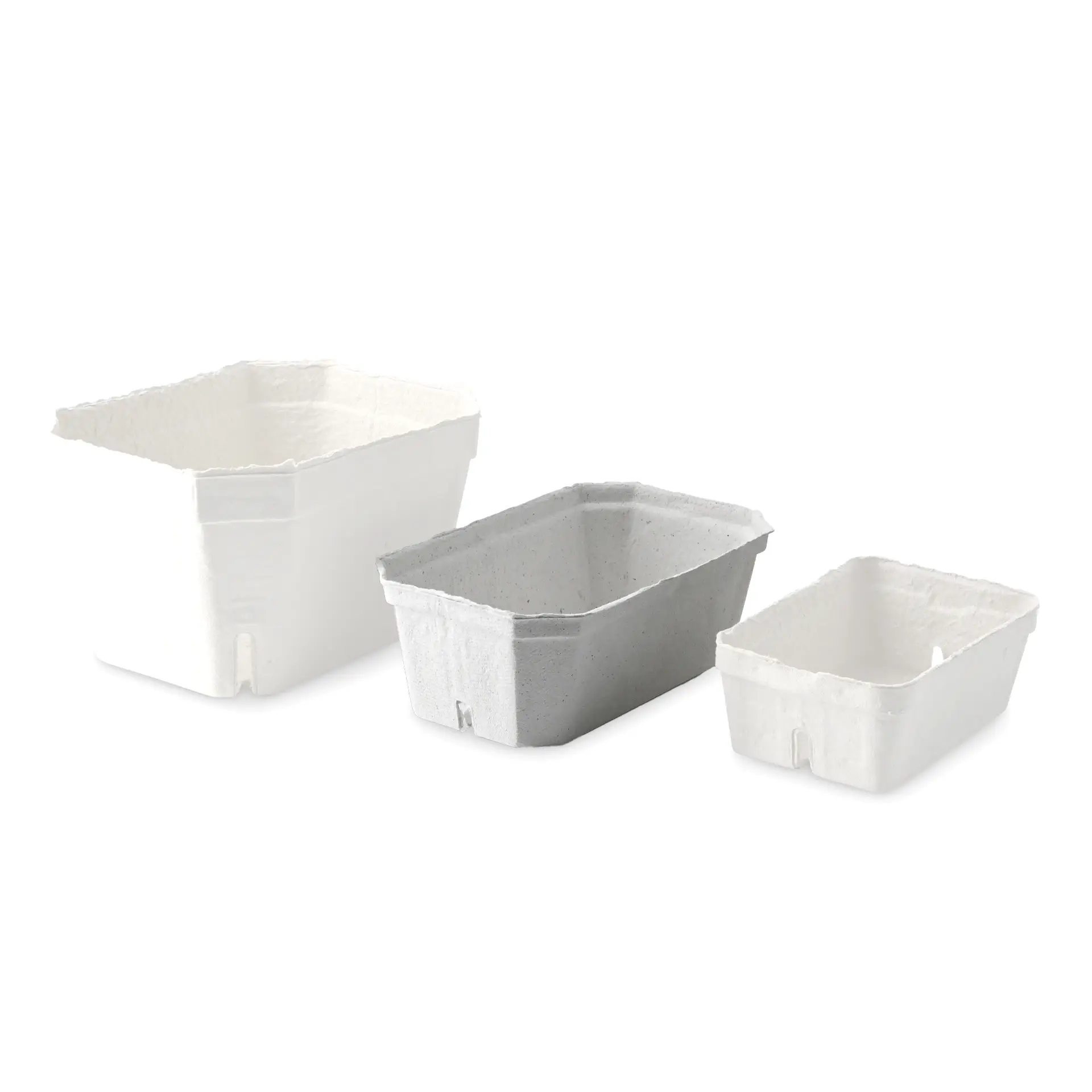 Drie witte bessenbakken van houtpulpboard, variërend in grootte, ontworpen voor verse producten en transport.