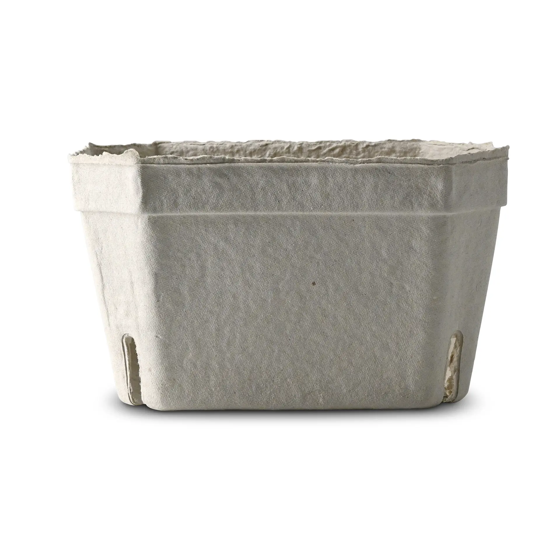 Een wit bessenblad van stevig houtpulp; ontworpen voor vers fruit en zacht produce, ideaal voor markten.