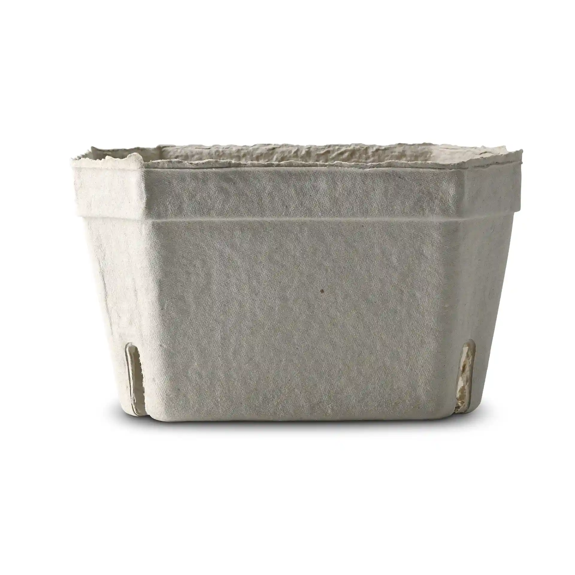 Witte houten pulp bessenpunnet met een rechthoekige vorm en afvoergaten aan de onderkant.