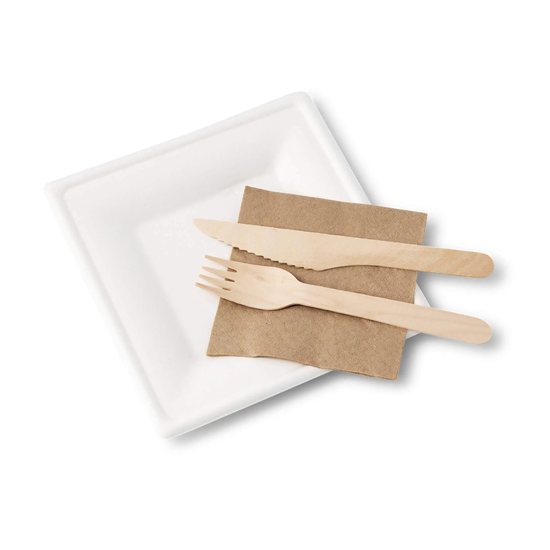 Vierkante suikerriet borden, 16 x 16 cm dtw08701-teller-aus-zuckerrohr-16-x-16-cm-quadratisch-4