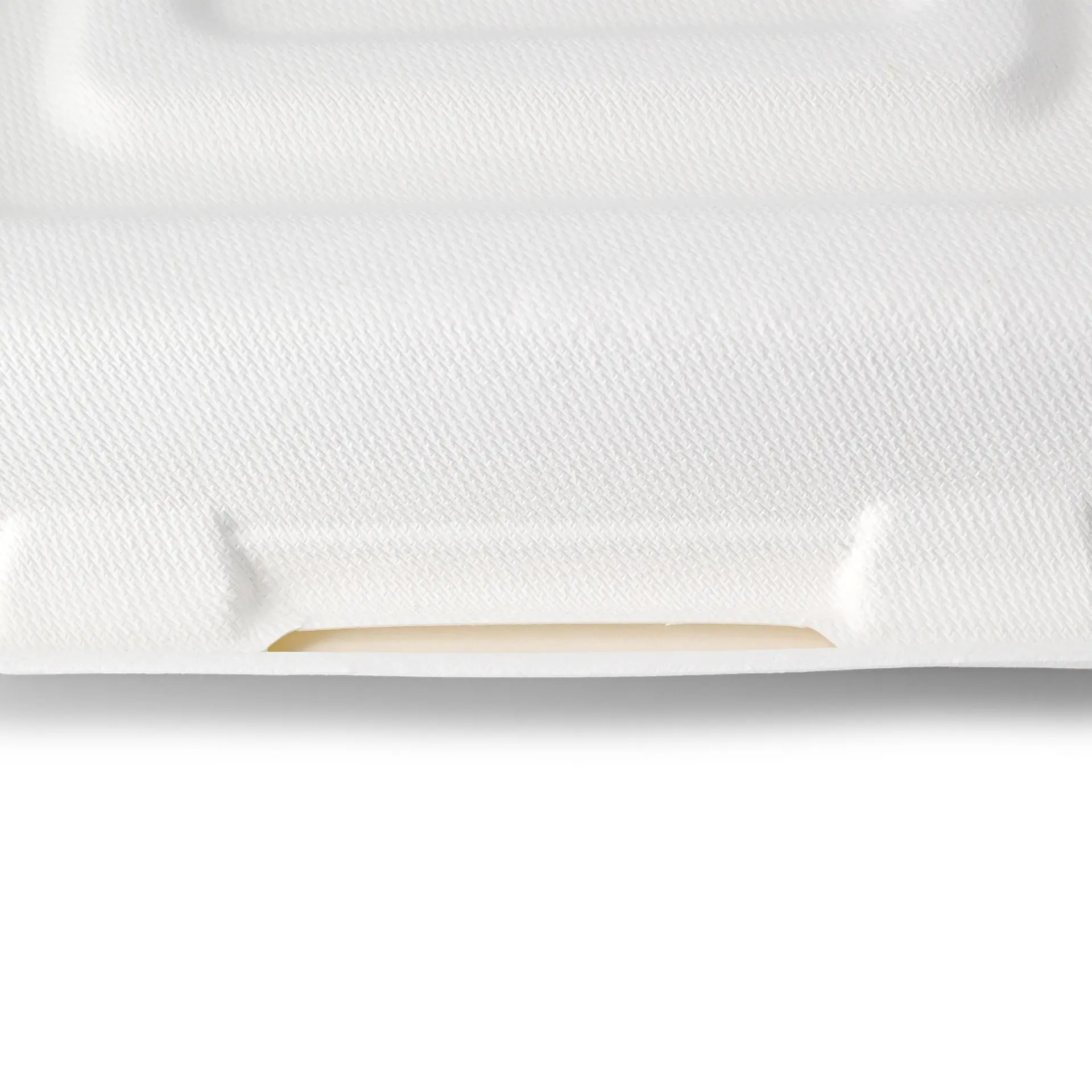 Maaltijdcontainer van suikerriet, 23,5 x 23,5 x 8 cm, 3 vakken, scharnierend deksel, rechthoekig