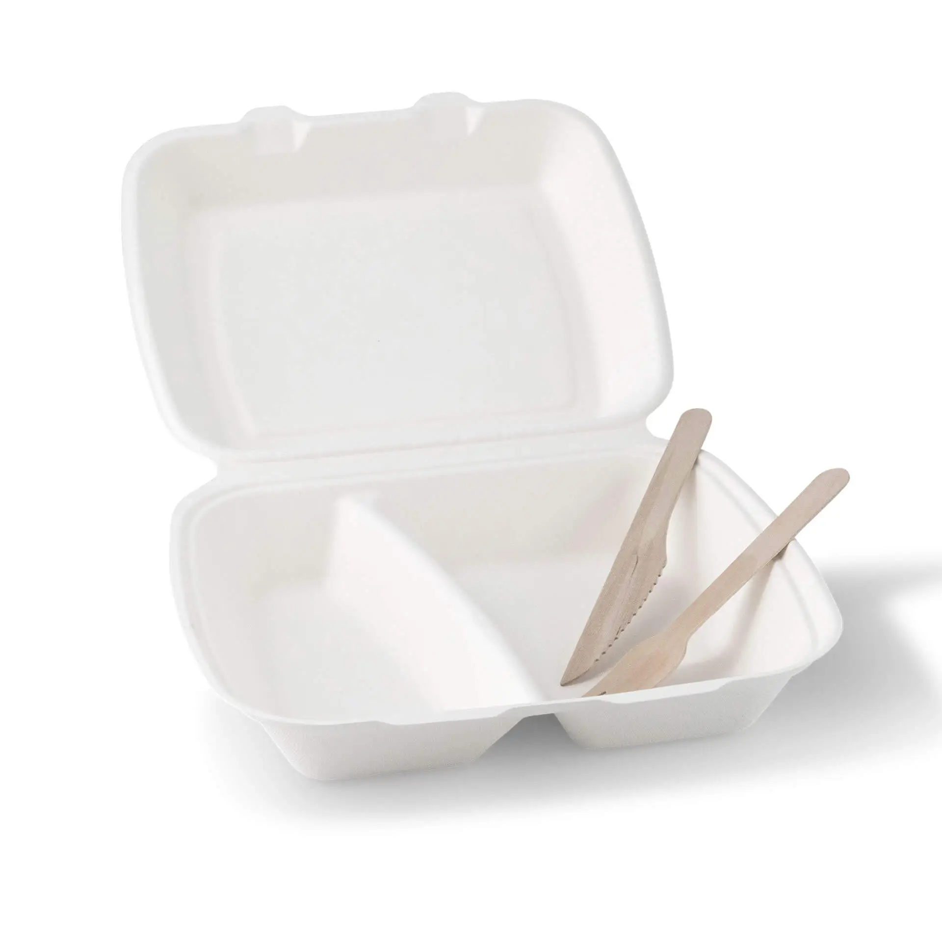 Suikerriet menubak 25 x 20 x 7,5 cm, 2 vakken, HP4/2, klapdeksel, rechthoekig
