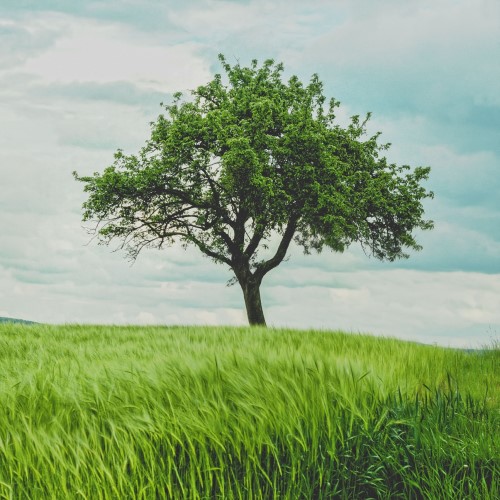 ClimateSafe_einleitung