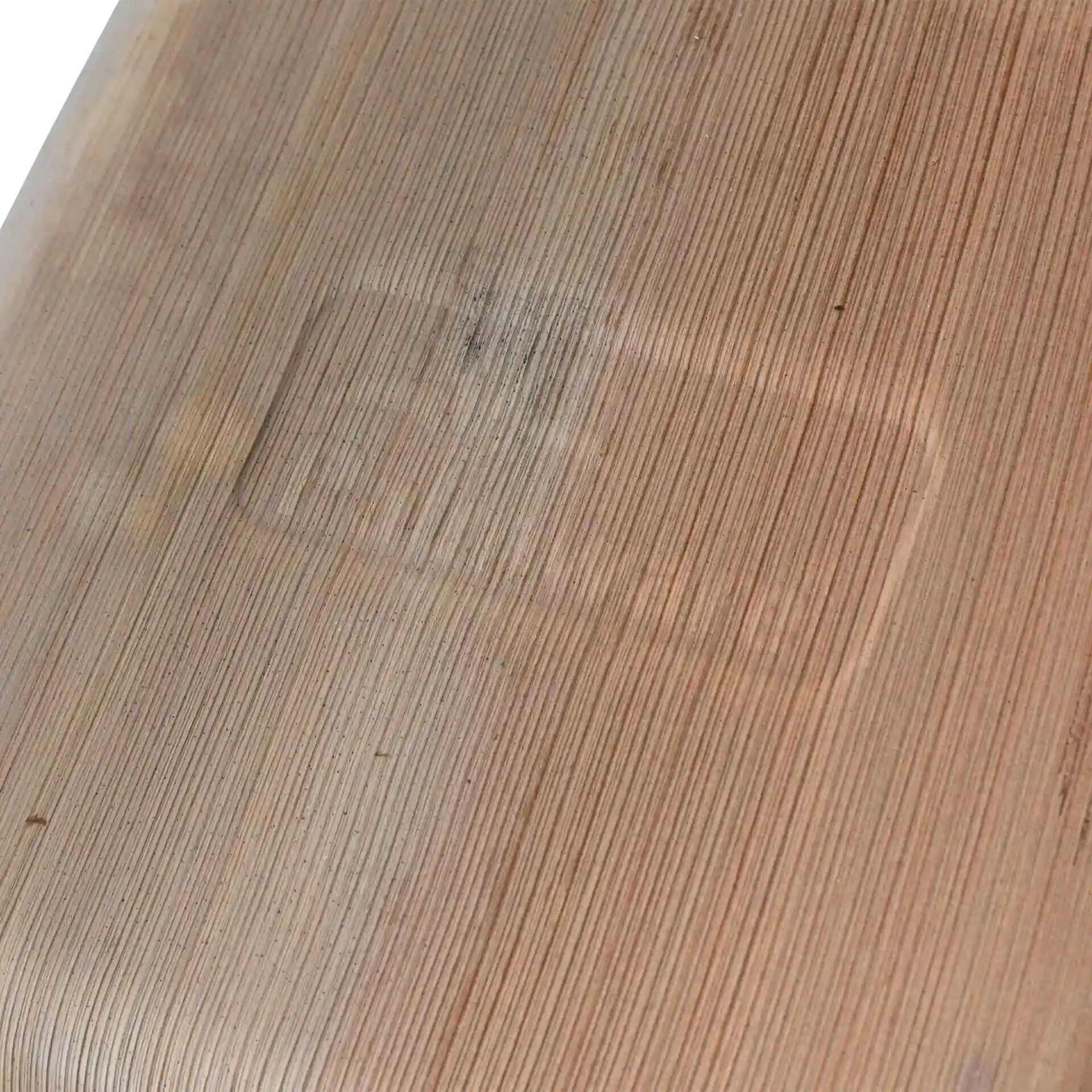 Close-up van een gestructureerd palmbladoppervlak met een vage rechthoekige afdruk.