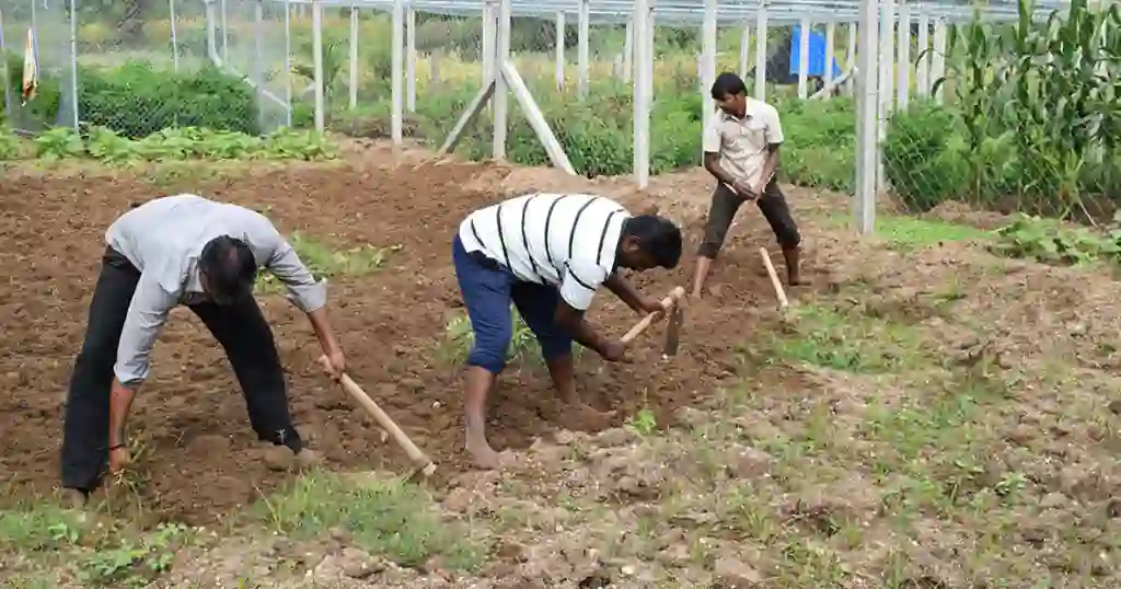 Natural-Farming-Projekt-1024x538