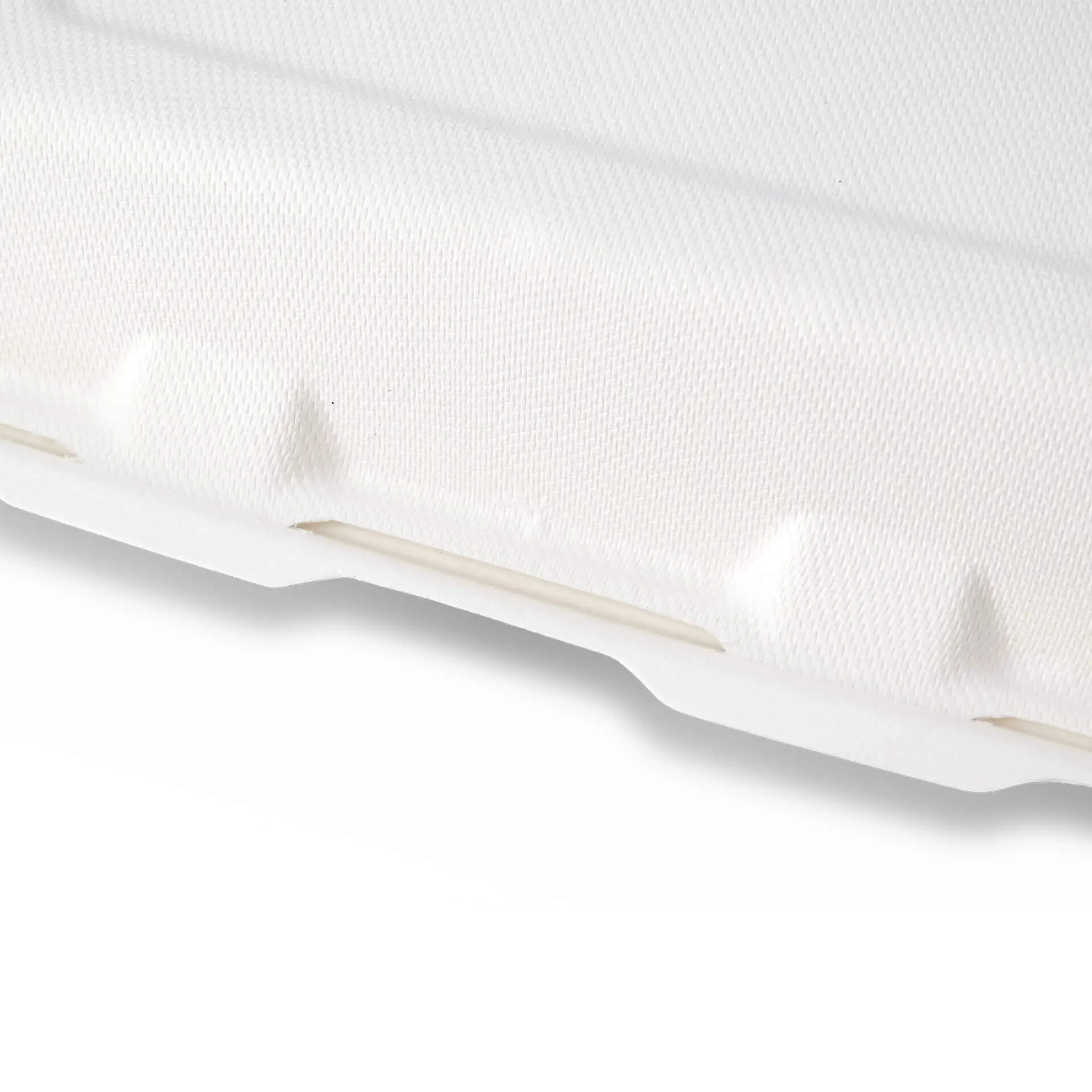 Suikerriet menubak 25 x 20 x 7,5 cm, 2 vakken, HP4/2, klapdeksel, rechthoekig