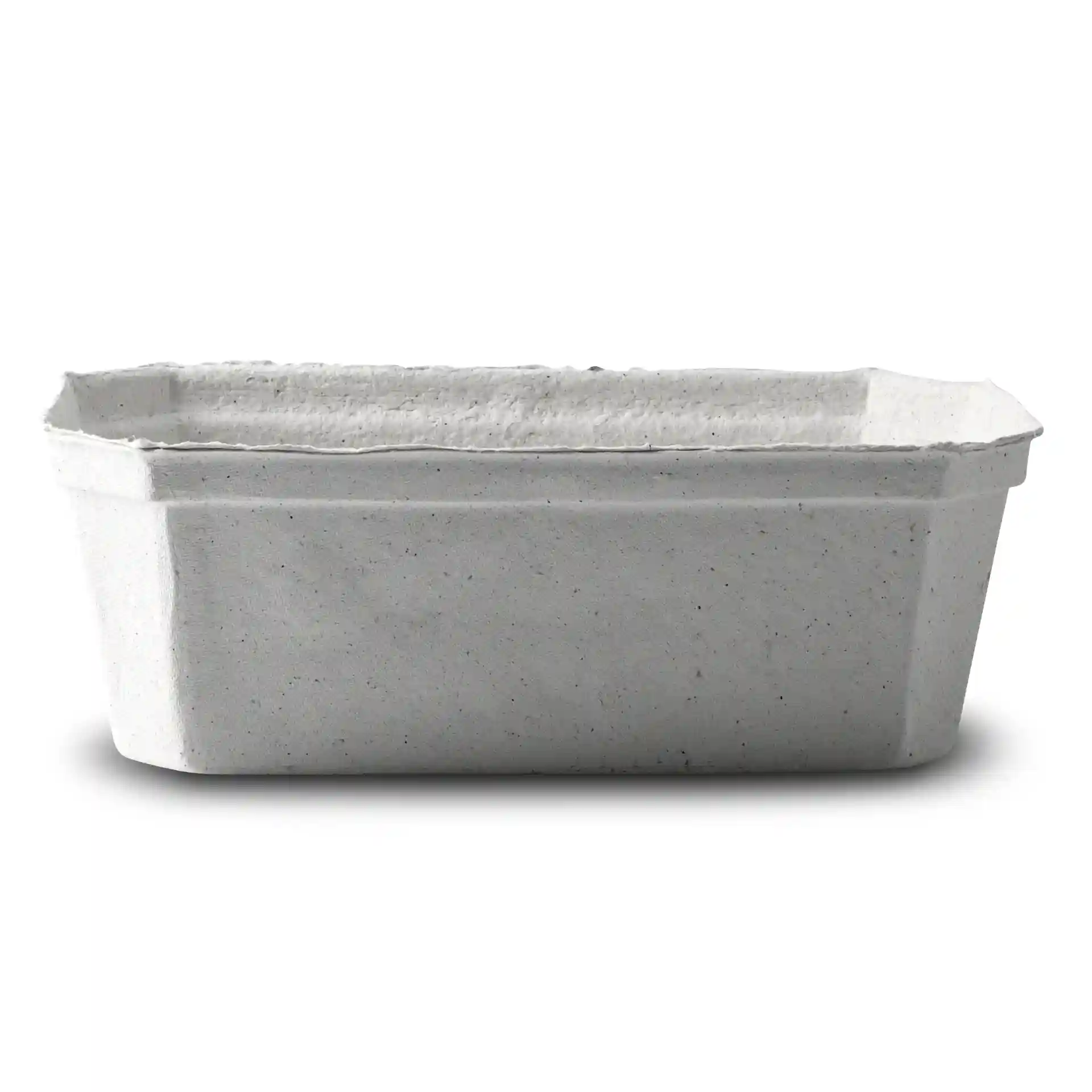 Witte houtpulp bessenbak in rechthoekige vorm, 185 mm lang, 115 mm breed en 65 mm hoog.