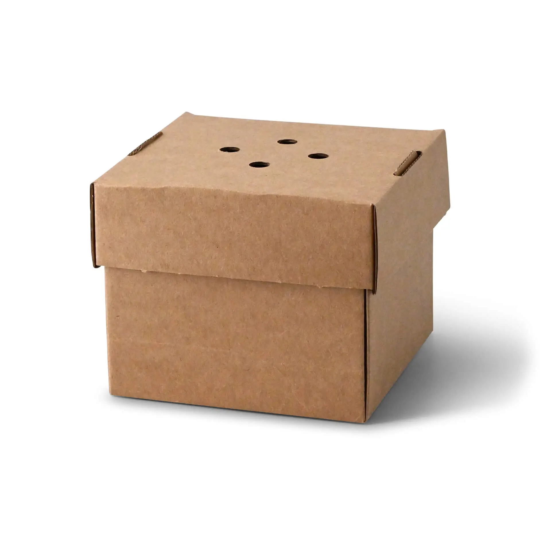 Take away burger container 13 x 13 x 10 cm, kraftkarton, inklapbaar dfc04292-burgerboxen-13-x-13-x-10-cm-kraftkarton-braun-faltbar-1