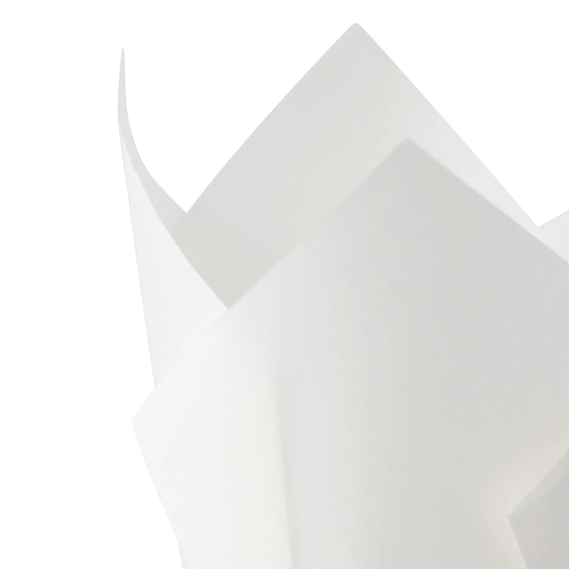 Witte vetvrije papieren muffincup, 5 cm in diameter, geschikt voor het bakken en serveren van muffins en cupcakes.