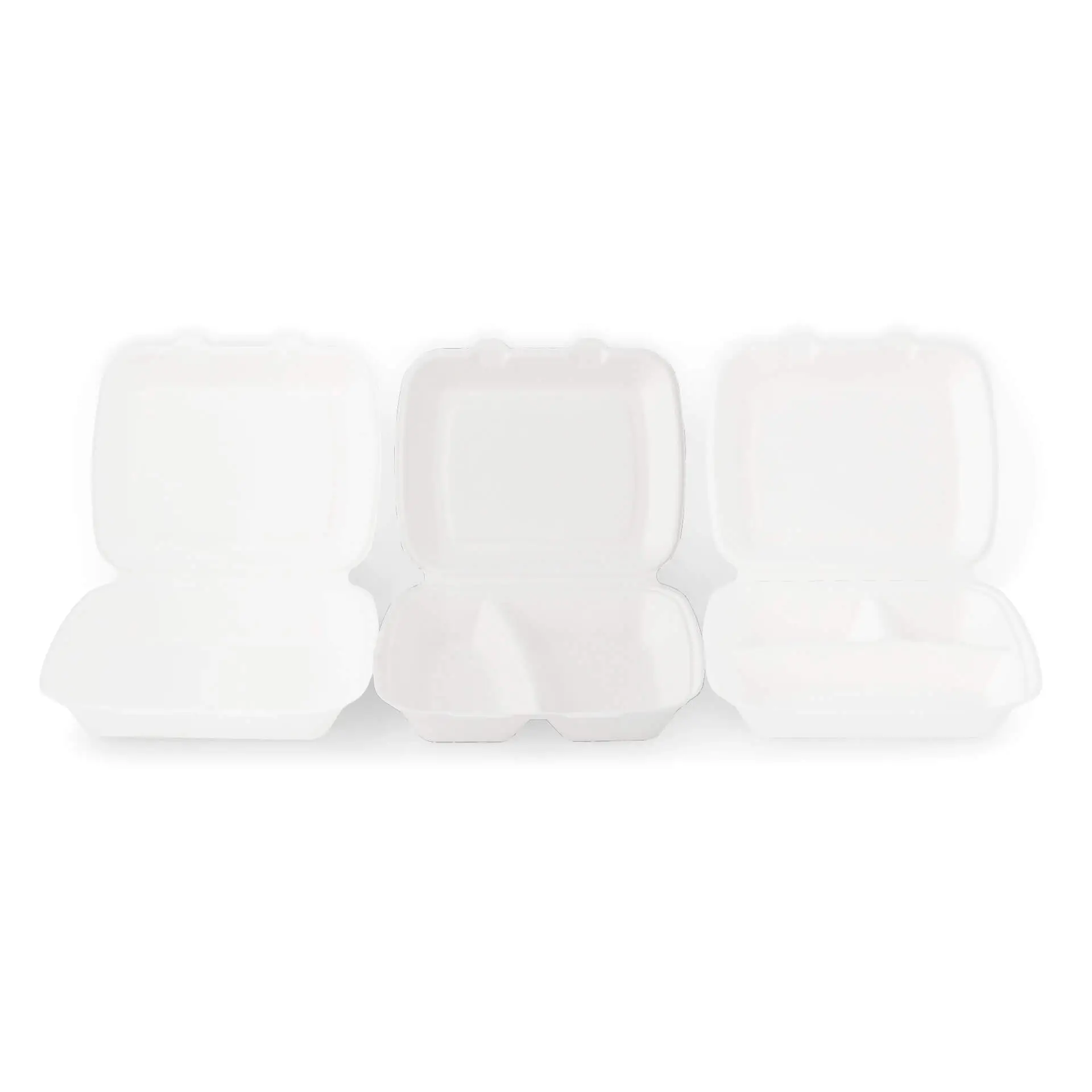 Suikerriet menubak 25 x 20 x 7,5 cm, 2 vakken, HP4/2, klapdeksel, rechthoekig