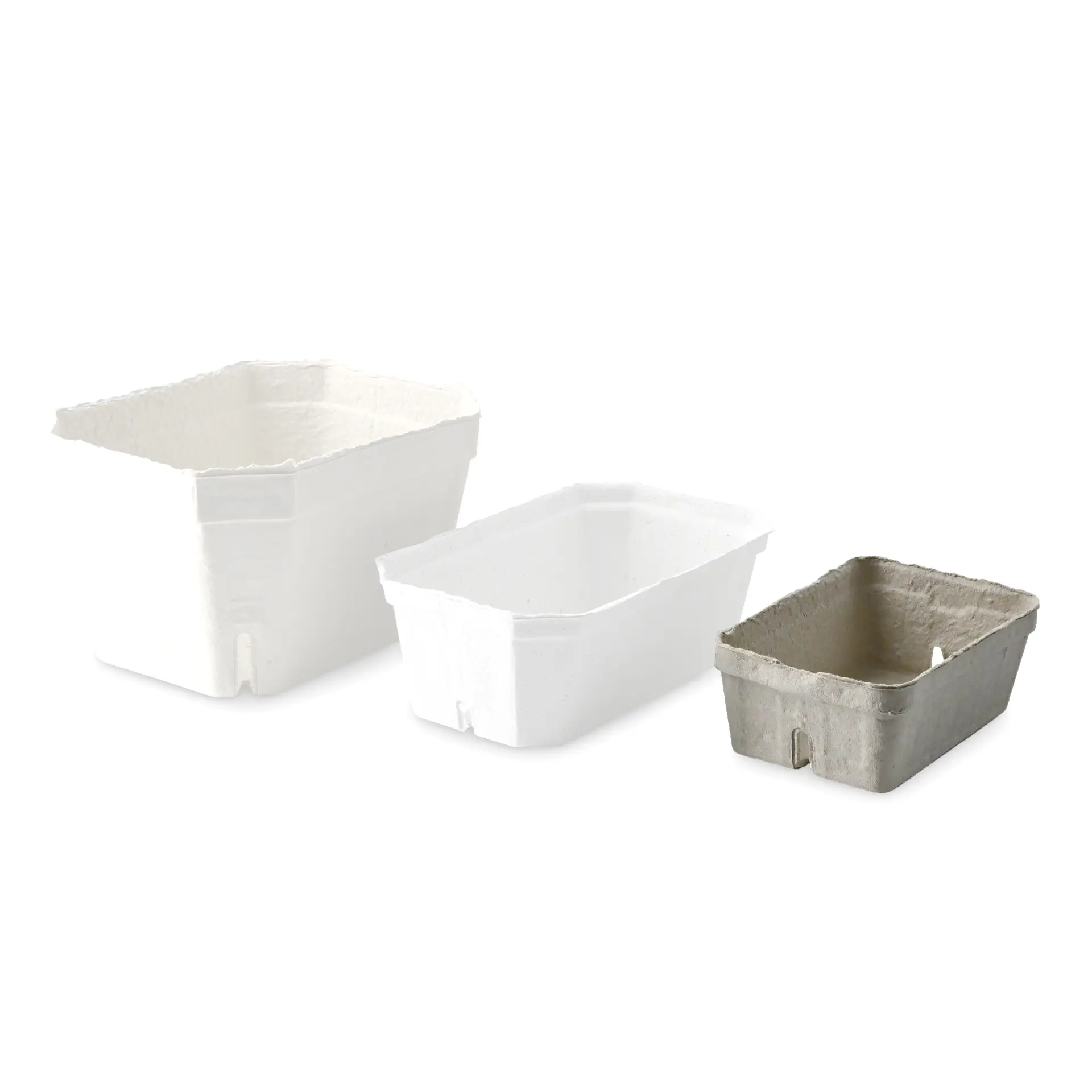 Drie bessenplaten in focus: één wit dienblad van houtpulp, één wit dienblad en één grijs dienblad ernaast.