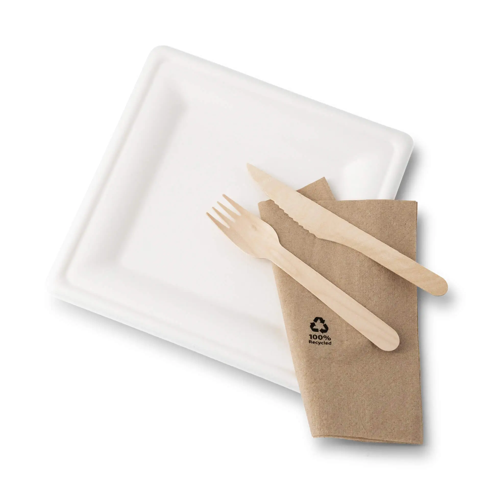 Suikerriet bord 20 x 20 cm, vierkant dtw087141-teller-aus-zuckerrohr-20-x-20-cm-quadratisch-4