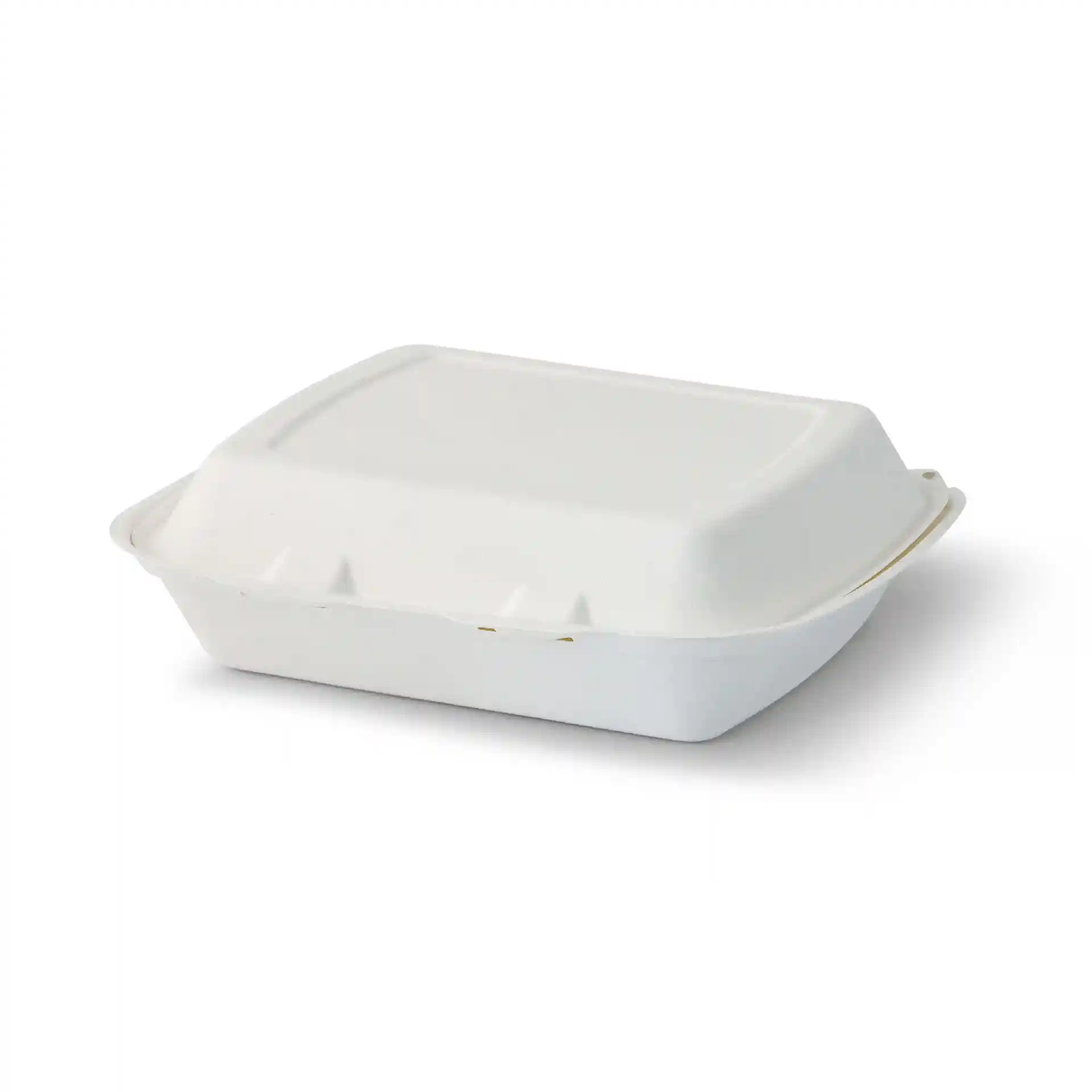 Witte rechthoekige container met scharnierdeksel van suikerriet, 25 x 20 x 7,5 cm.