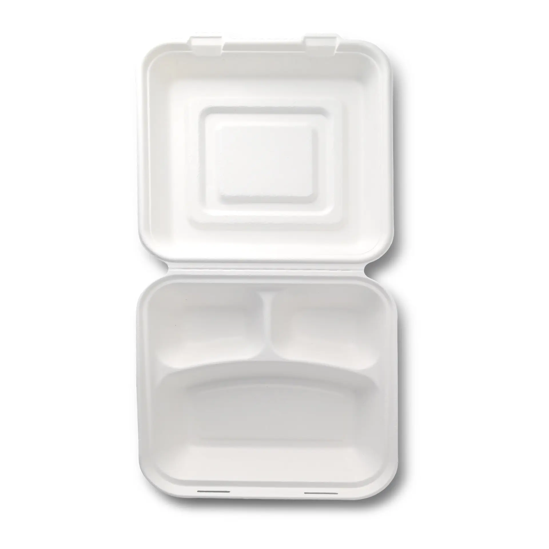 Maaltijdcontainer van suikerriet, 23,5 x 23,5 x 8 cm, 3 vakken, scharnierend deksel, rechthoekig