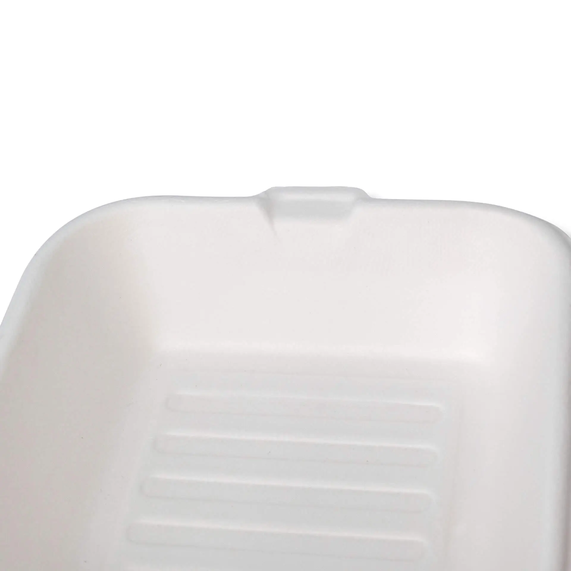 Burgerbox van suikerriet, 15 x 15 x 8 cm, vierkant dfc01290-burgerboxen-aus-zuckerrohr-15-x-15-x-8-cm-quadratisch-4