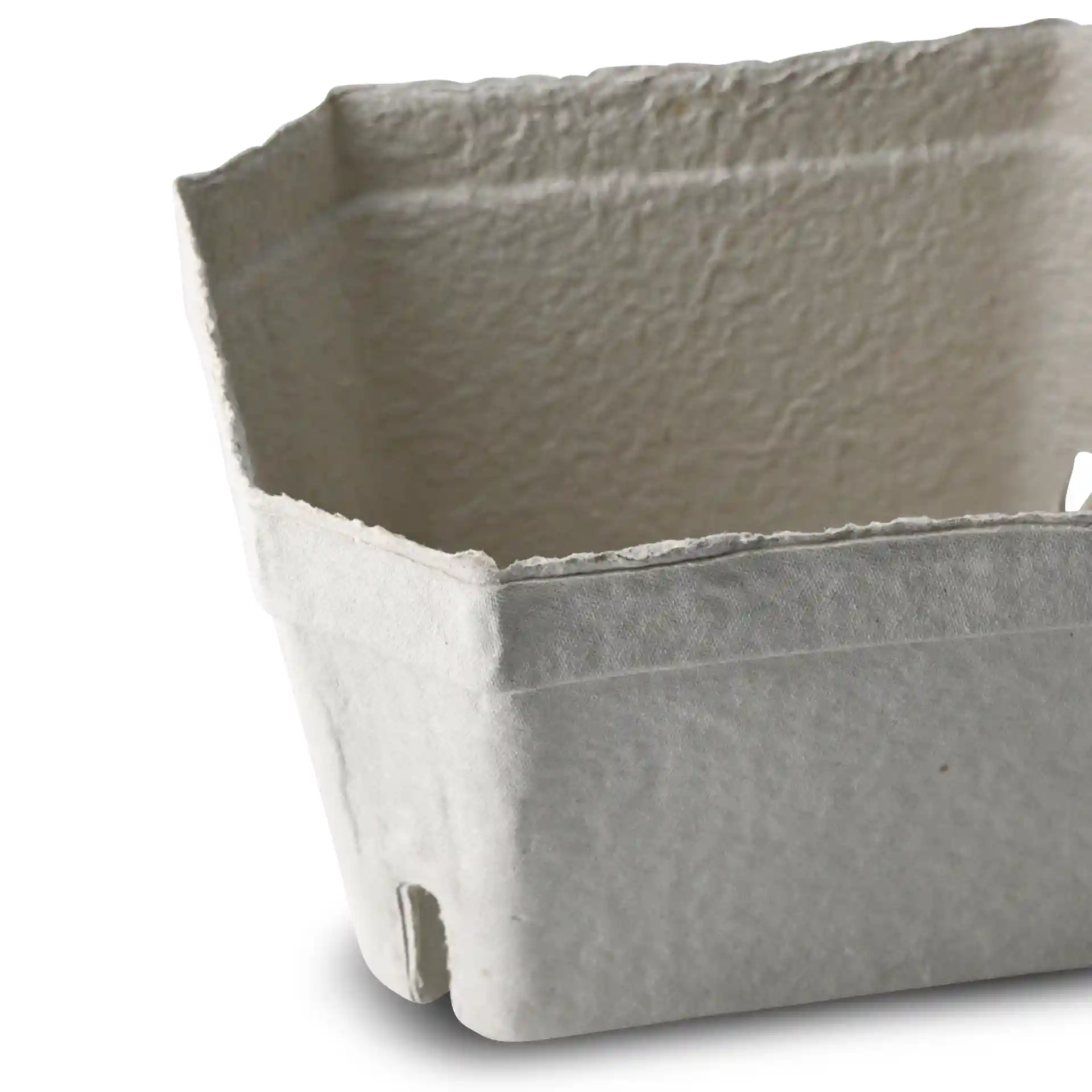 Witte houtpulp bessenbak met vierkante vorm en open bovenkant, 180 mm lang en 142 mm breed.