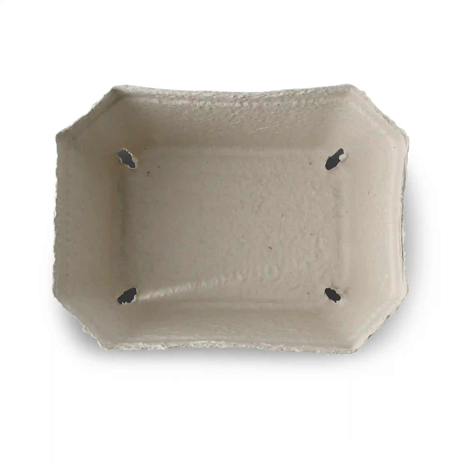 Witte houtpulp bessenpunnet met een rechthoekige vorm en vier afwateringsgaten. Afmetingen: 180 mm lang, 142 mm breed, 106 mm hoog.