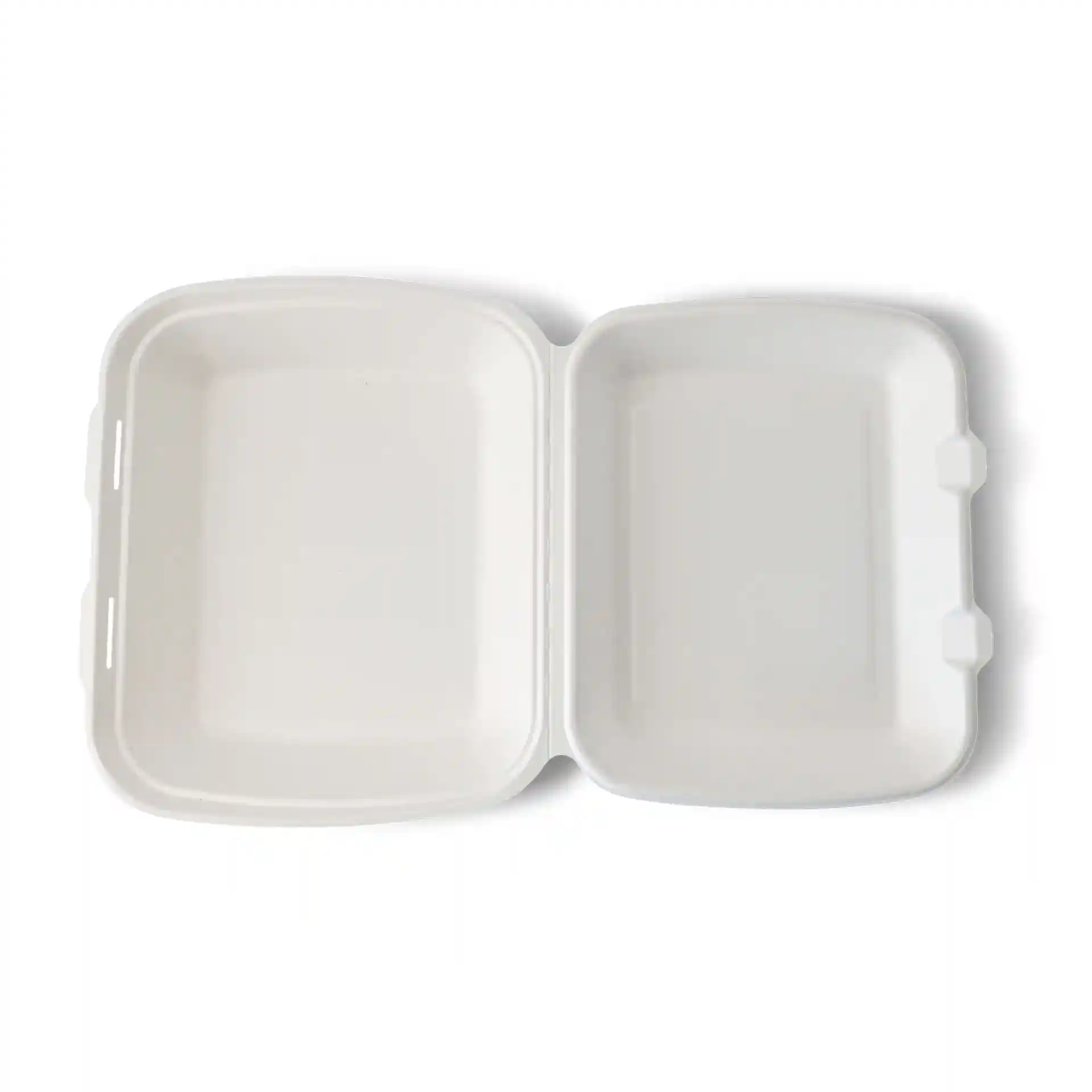 Witte rechthoekige container met scharnierdeksel van suikerriet, 25 x 20 x 7,5 cm, met een gladde binnenkant.